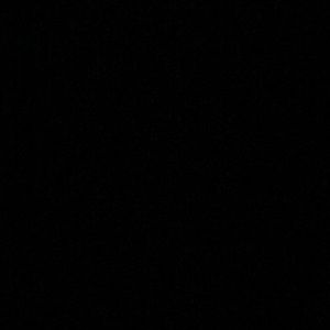 Meet your Posher, Caleigh